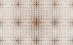 2014 05 03 Test 19-white.jpg